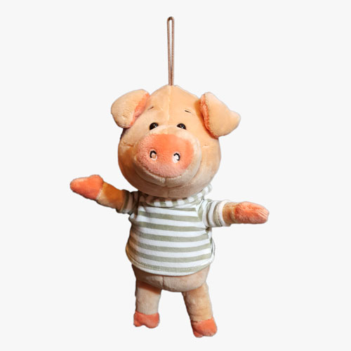 عروسک خوک سویشرت دار
